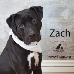 Thumbnail photo of Zach #3