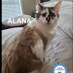 Photo of Alana