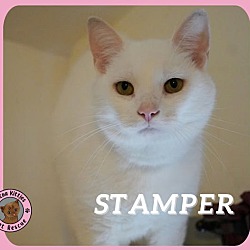 Thumbnail photo of Stamper #1