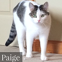 Thumbnail photo of Paige #4