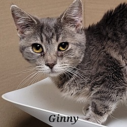 Photo of Ginny