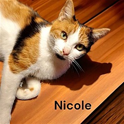 Thumbnail photo of Nicole #3