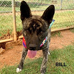 Thumbnail photo of Bill #2