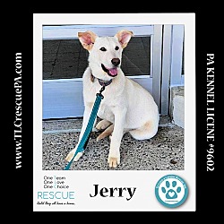 Thumbnail photo of Jerry (Cartoon Cuties) 032324 #2