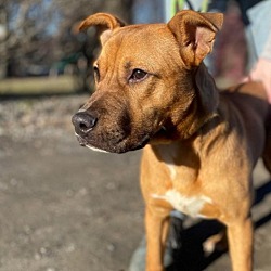 Photo of Skyy