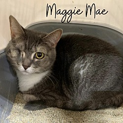 Photo of Maggie Mae