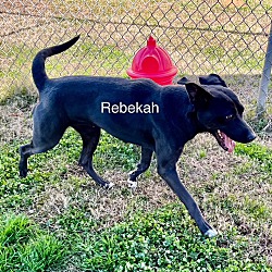 Thumbnail photo of Rebekah #4