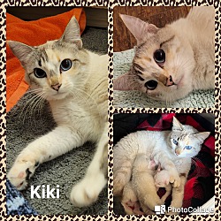 Photo of Kiki