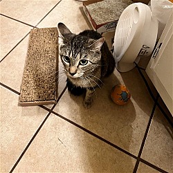 Photo of Hazel