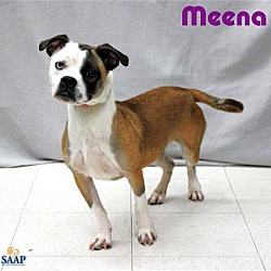 Thumbnail photo of Meena #4