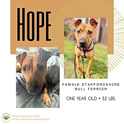 Thumbnail photo of Hope #1