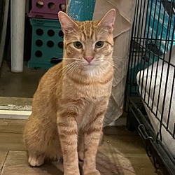 Photo of Sunny