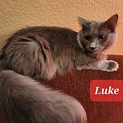 Photo of Luke 6476