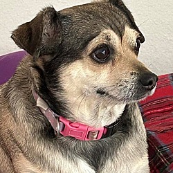Photo of Ms. Graci