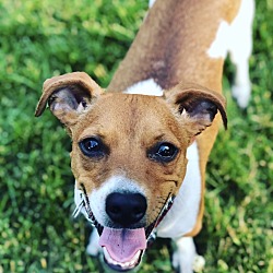 Photo of Jettson