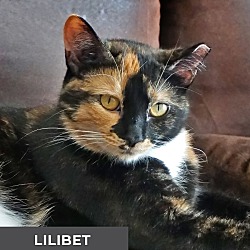 Photo of Lilibet