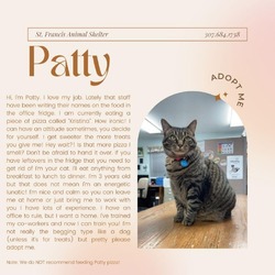 Thumbnail photo of Patty #4