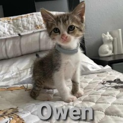 Photo of Owen