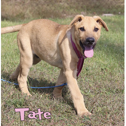 Thumbnail photo of Tate #2