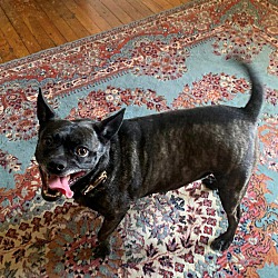 Photo of Buddy