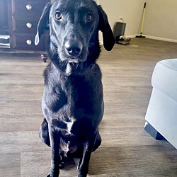Photo of Oliver