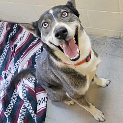 Photo of Daisy
