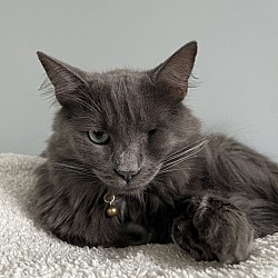 Photo of Theodore