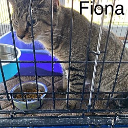 Thumbnail photo of Fiona (24-284) #3