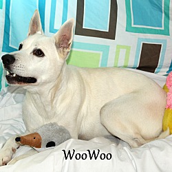 Thumbnail photo of WooWoo #2