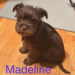 Photo of Madeline