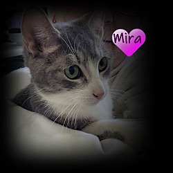 Thumbnail photo of MINA & MIRA #3