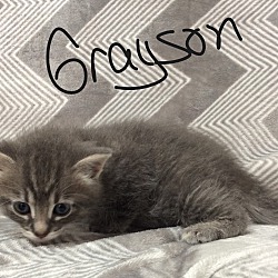 Photo of Grayson