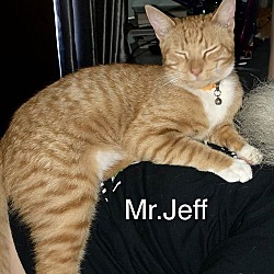 Thumbnail photo of Mr. Jeffries - SG #3