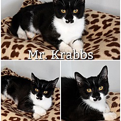 Photo of Mr. Krabbs
