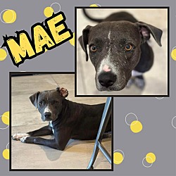 Photo of Mae