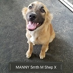 Thumbnail photo of MANNY #1