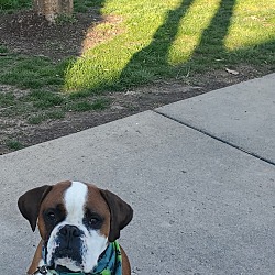 Photo of Carson