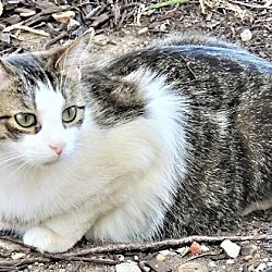 Photo of LITTLE ONE