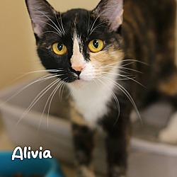 Photo of Alivia