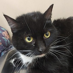 Photo of Mama