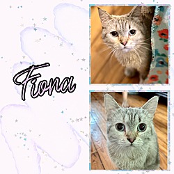Photo of Fiona
