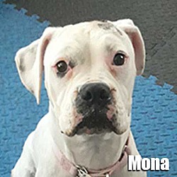 Thumbnail photo of Mona #1