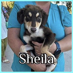 Photo of Sheila