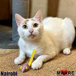 Thumbnail photo of Nairobi #1