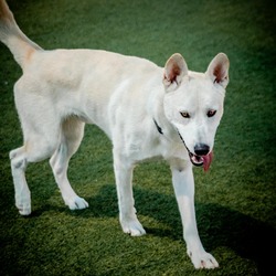 Thumbnail photo of Ghost (A2144673) #1