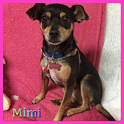 Thumbnail photo of Mimi #2