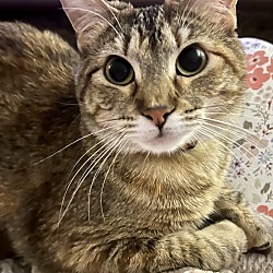 Photo of Audrey
