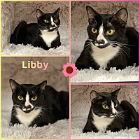 Photo of Libby