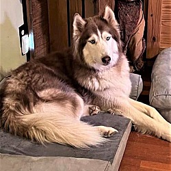 Photo of MAX