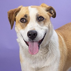 Photo of Sadie